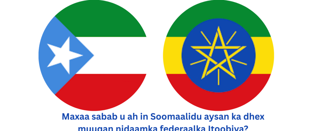 Deegaanka soomaalida