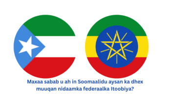 Deegaanka soomaalida