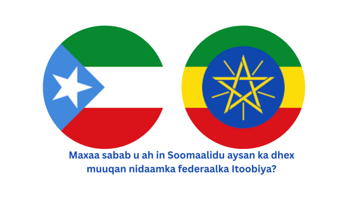 Deegaanka soomaalida