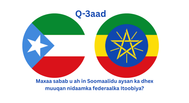 Maxaa sabab u ah in Soomaalidu aysan ka dhex muuqan nidaamka federaalka Itoobiya?