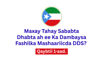 Qaybtii 1-aad.