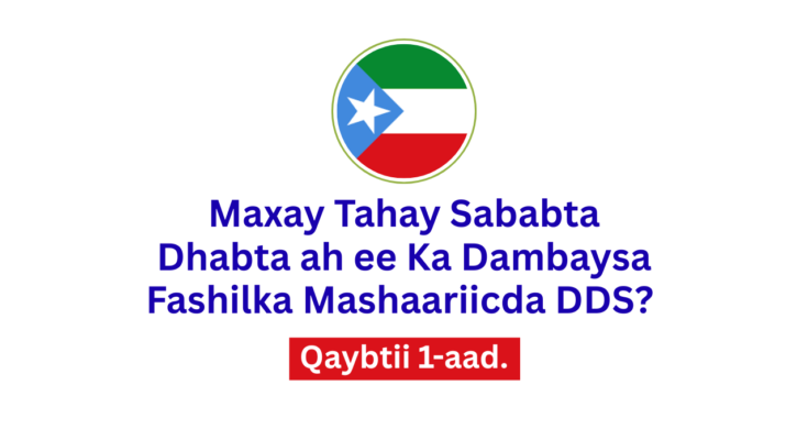 Qaybtii 1-aad.