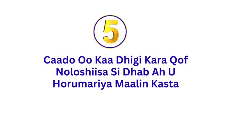 5 Caado Oo Si Dhab Ah U Bedeli Kara Noloshaada